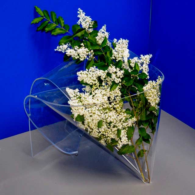 Espositore vaso plexiglass per fiori secchi | Ludovic ...